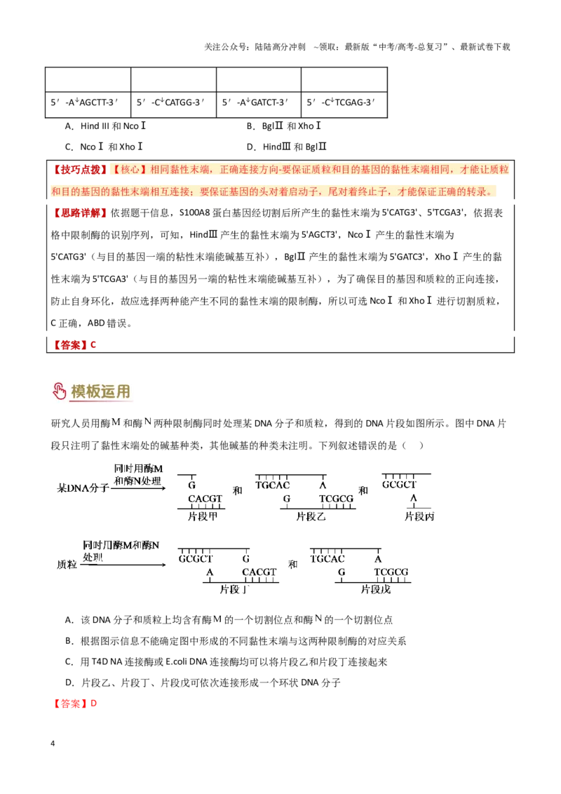 《专题10生物技术工程（教师版）_06-生物-高考总复习_专项复习_2025年_2025年高考生物答题技巧与答题模板（全国通用）》第4页预览