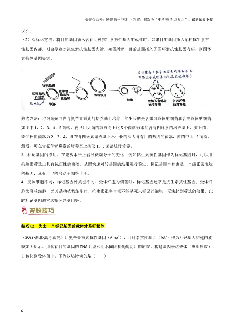 《专题10生物技术工程（教师版）_06-生物-高考总复习_专项复习_2025年_2025年高考生物答题技巧与答题模板（全国通用）》第6页预览