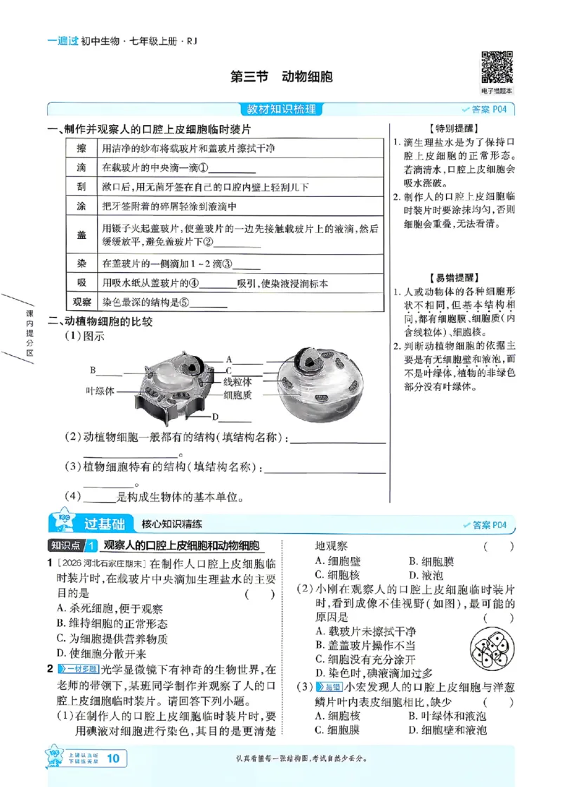 《26秋初中一遍过七上生物人教练习册_26秋小学初中各机构教辅大合集（一本、教材帮、阳光同学、王朝霞、实验班、小典中点、上分卷、白欧、课堂笔记等等）_26秋初中教辅资料》第10页预览