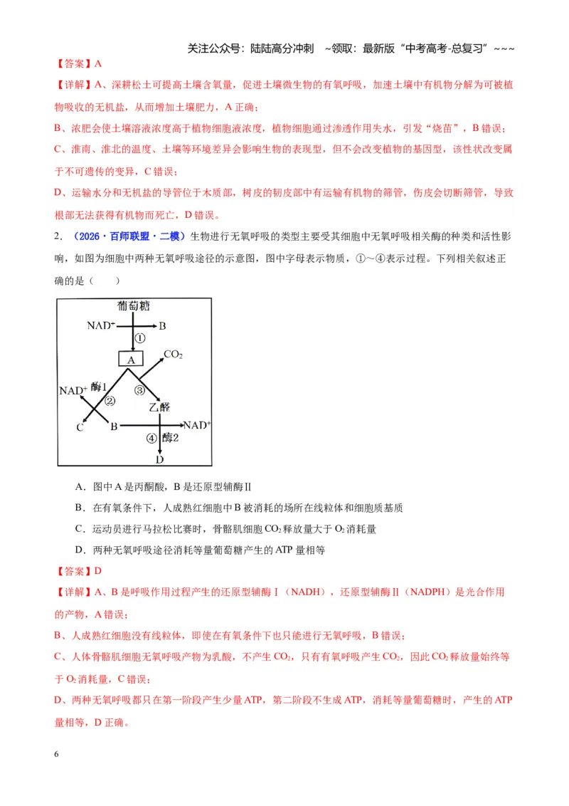 《专题02细胞的能量供应和利用（教师版）_06-生物-高考总复习_专项复习_2026年-生物高考专项复习_2026年高考生物二模试题分类汇编（湖南专用）-G292_2026版》第6页预览