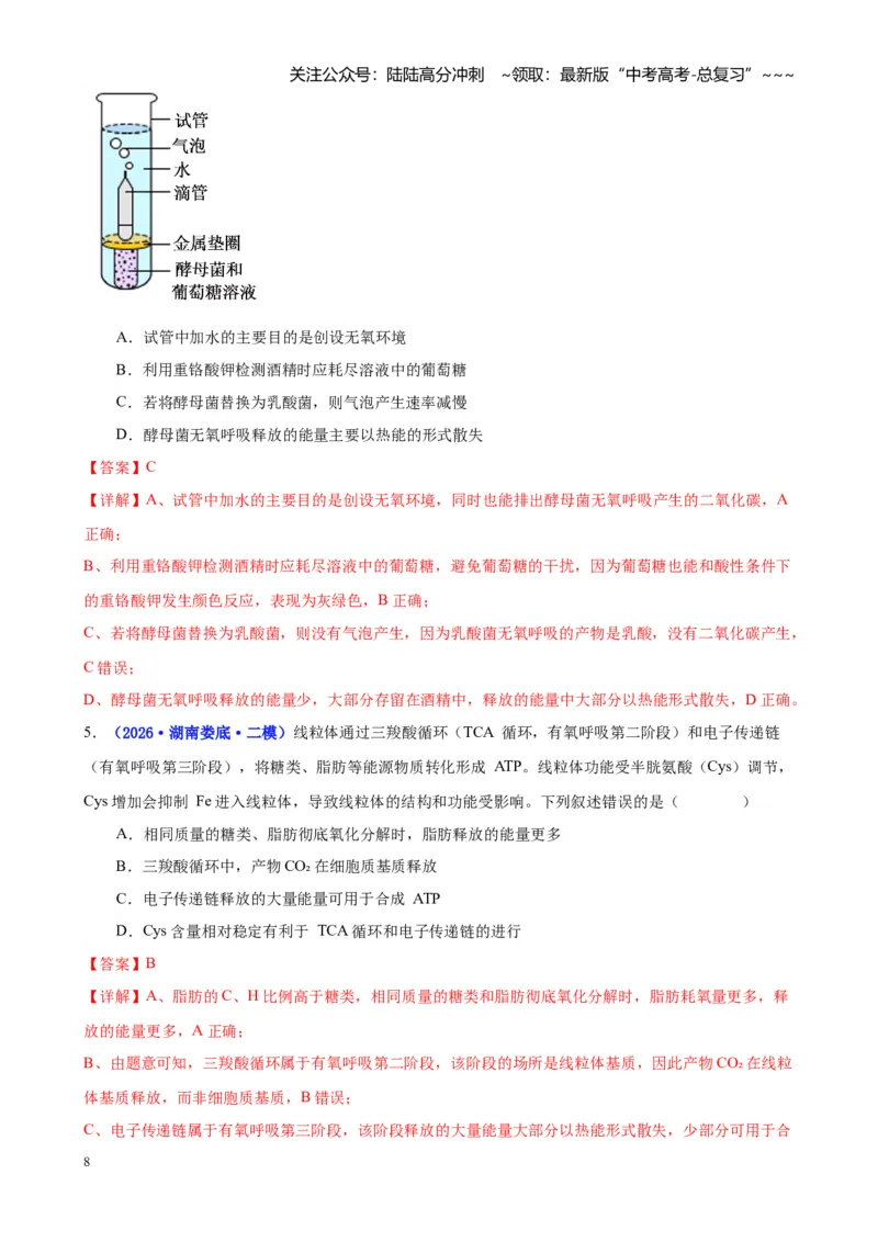 《专题02细胞的能量供应和利用（教师版）_06-生物-高考总复习_专项复习_2026年-生物高考专项复习_2026年高考生物二模试题分类汇编（湖南专用）-G292_2026版》第8页预览