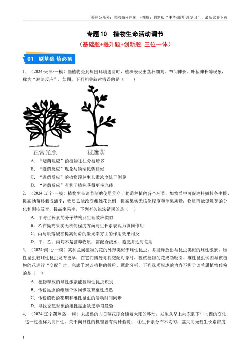 《专题10植物生命活动调节（原卷版）_06-生物-高考总复习_专项复习_2025年_2024年高考一模试题分类汇编生物新高考通用》第1页预览
