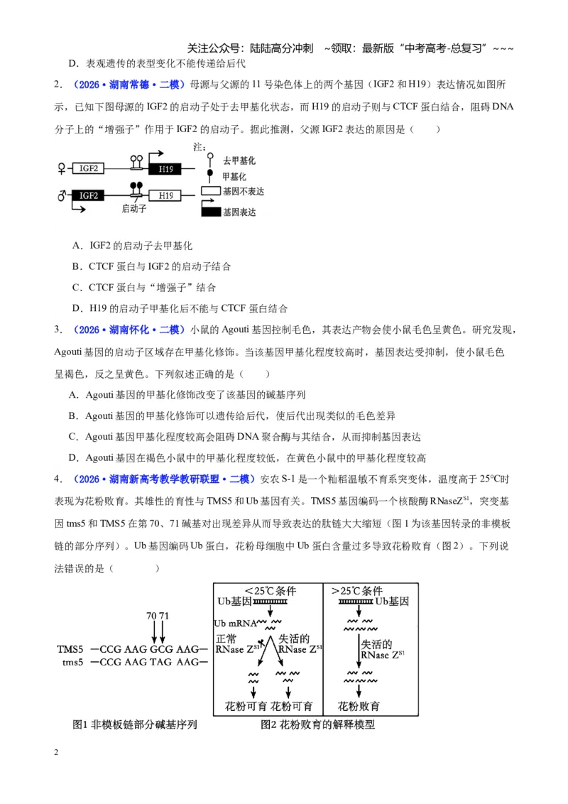 《专题05遗传的物质基础（学生版）_06-生物-高考总复习_专项复习_2026年-生物高考专项复习_2026年高考生物二模试题分类汇编（湖南专用）-G292_2026版》第2页预览