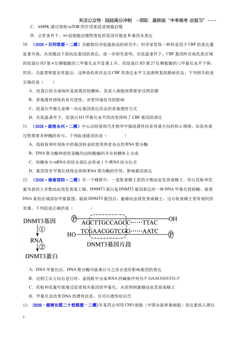 《专题05遗传的物质基础（学生版）_06-生物-高考总复习_专项复习_2026年-生物高考专项复习_2026年高考生物二模试题分类汇编（湖南专用）-G292_2026版》第5页预览