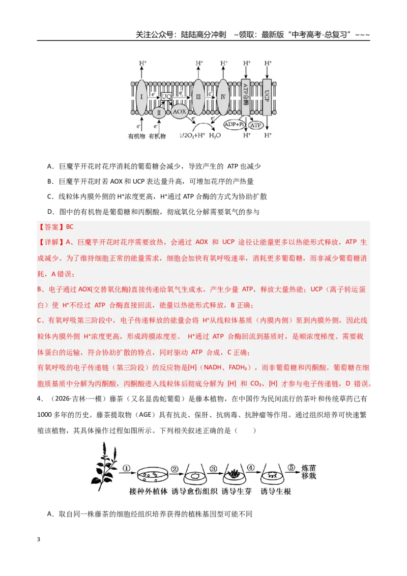 《猜押09不定项选择题必刷30题（教师版）_06-生物-高考总复习_专项复习_2026年-生物高考专项复习_2026年高考生物终极冲刺讲练测（黑吉辽蒙专用）-G466_2026版》第3页预览