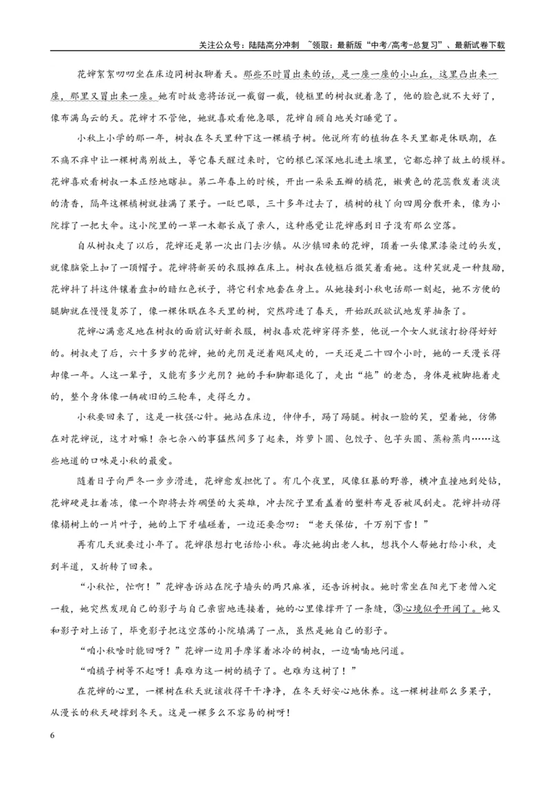 《模拟卷05（新高考Ⅰ卷专用）（解析版）_一轮复习_2025年_2025年高考语文模拟卷（新高考I卷专用）8套》第6页预览