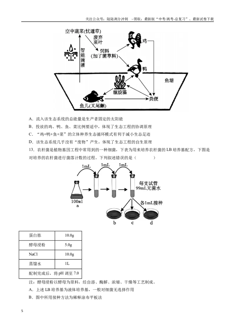 《生物（山西、陕西、宁夏、青海通用）（考试版）_06-生物-高考总复习_二轮复习_2025年_2025年高考生物第二次模拟卷26套_生物（山西、陕西、宁夏、青海通用）》第5页预览