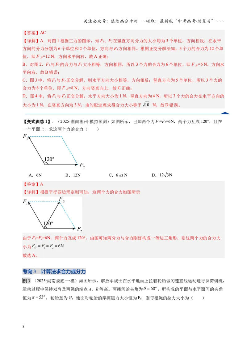 《第06讲力的合成与分解（复习讲义）（湖南专用）（教师版）_04-物理-高考总复习_一轮复习_2026年-物理高考一轮复习_2026年高考物理一轮课件+讲义+练习（湖南专用）-G331》第8页预览