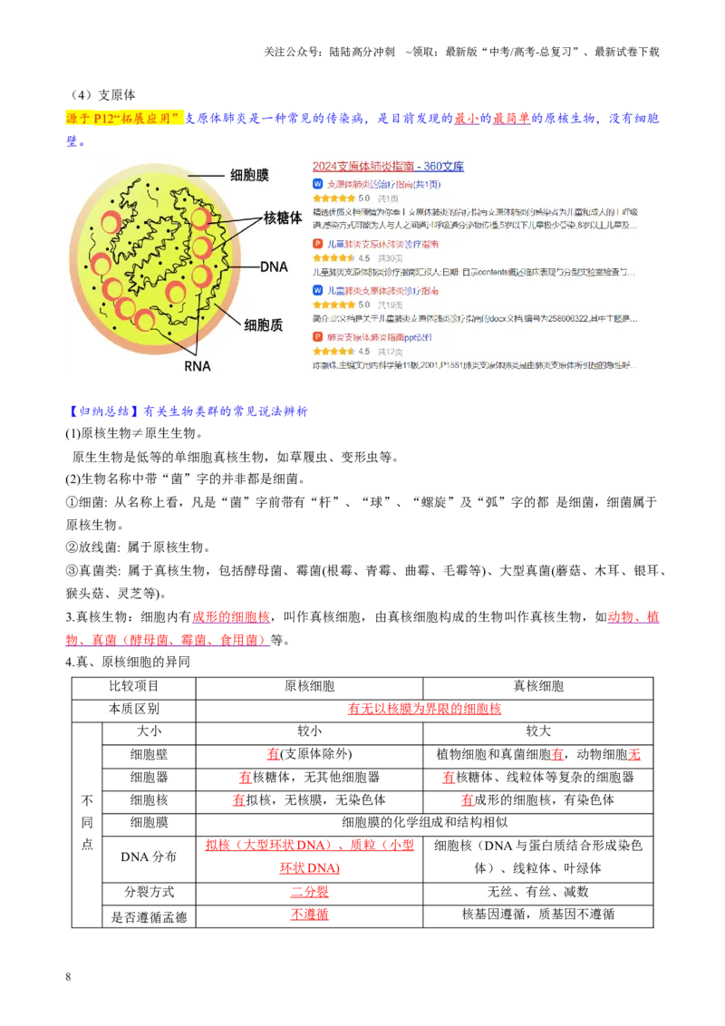 《第01讲走近细胞（讲义）（学生版）_06-生物-高考总复习_一轮复习_2025年_2025年高考生物一轮复习讲义+练习+课件（新教材新高考）_第一单元细胞的概述及其分子组成》第8页预览