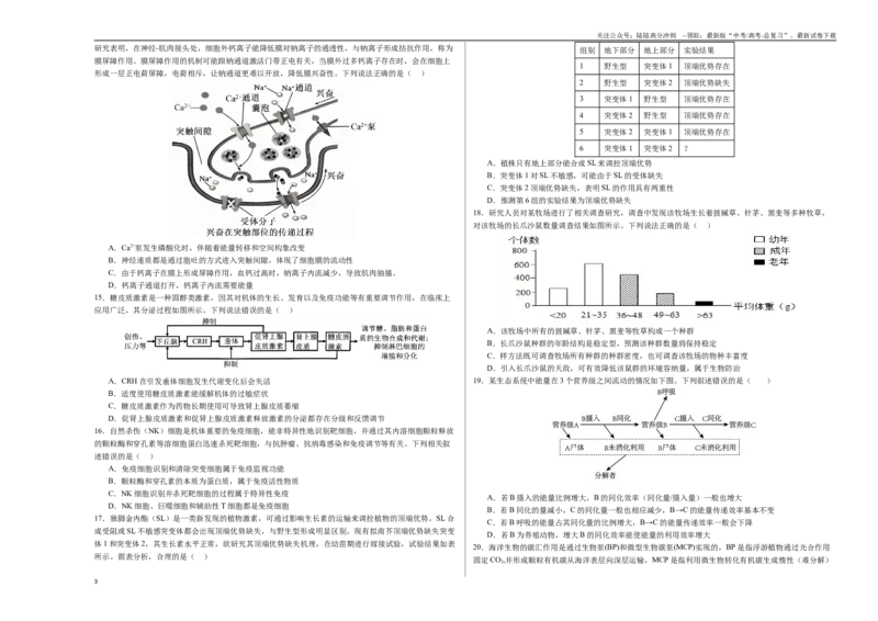 《生物（全国卷）（考试版A3）_06-生物-高考总复习_一轮复习_2025年_2025年高考生物第一次模拟卷24套》第3页预览