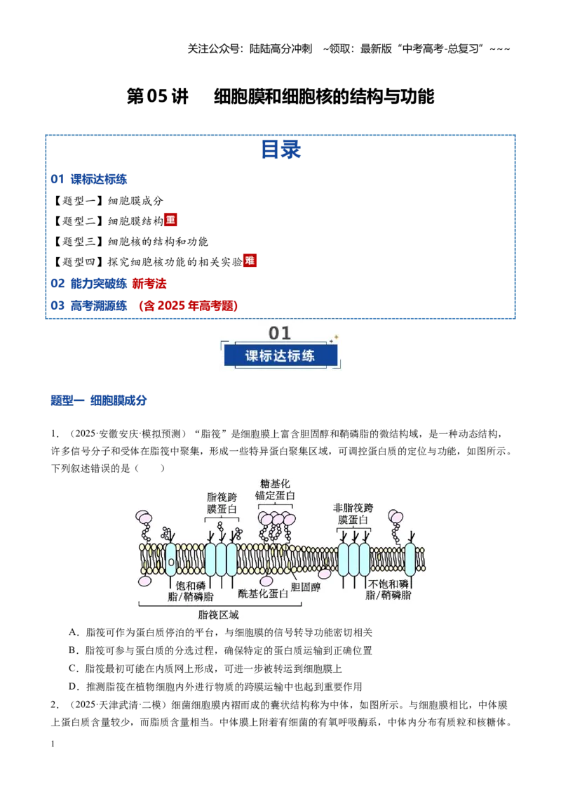 《第05讲细胞膜和细胞核的结构与功能（专项训练）（安徽专用）（学生版）_06-生物-高考总复习_一轮复习_2026年-生物高考一轮复习_2026年高考生物一轮课件+讲义+练习（安徽专用）-G326》第1页预览
