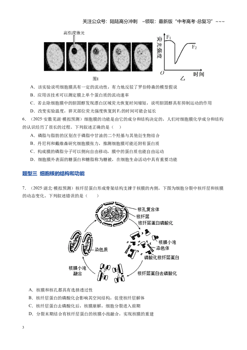 《第05讲细胞膜和细胞核的结构与功能（专项训练）（安徽专用）（学生版）_06-生物-高考总复习_一轮复习_2026年-生物高考一轮复习_2026年高考生物一轮课件+讲义+练习（安徽专用）-G326》第3页预览