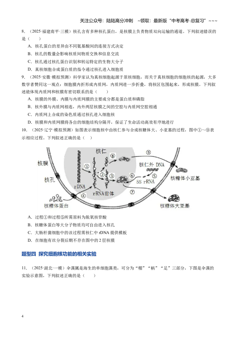 《第05讲细胞膜和细胞核的结构与功能（专项训练）（安徽专用）（学生版）_06-生物-高考总复习_一轮复习_2026年-生物高考一轮复习_2026年高考生物一轮课件+讲义+练习（安徽专用）-G326》第4页预览