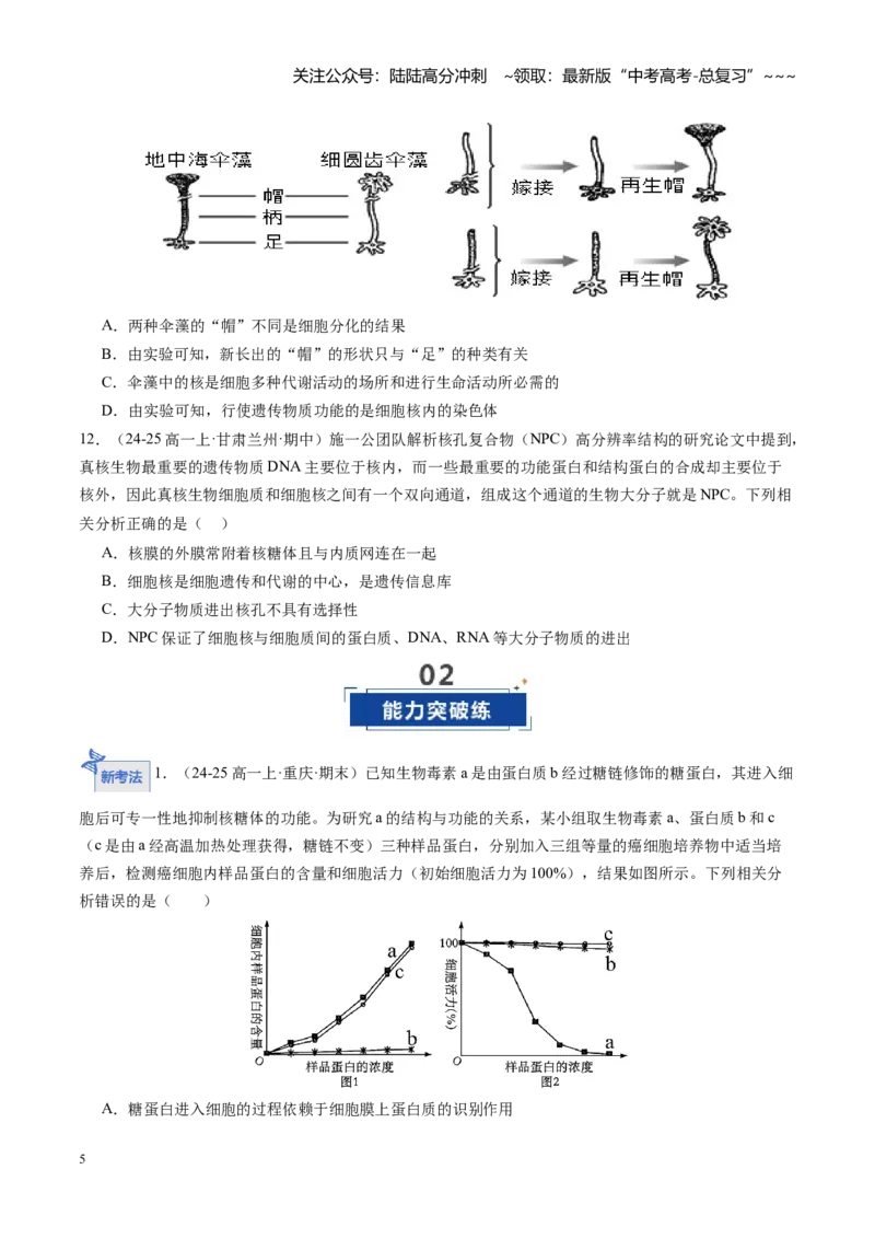 《第05讲细胞膜和细胞核的结构与功能（专项训练）（安徽专用）（学生版）_06-生物-高考总复习_一轮复习_2026年-生物高考一轮复习_2026年高考生物一轮课件+讲义+练习（安徽专用）-G326》第5页预览