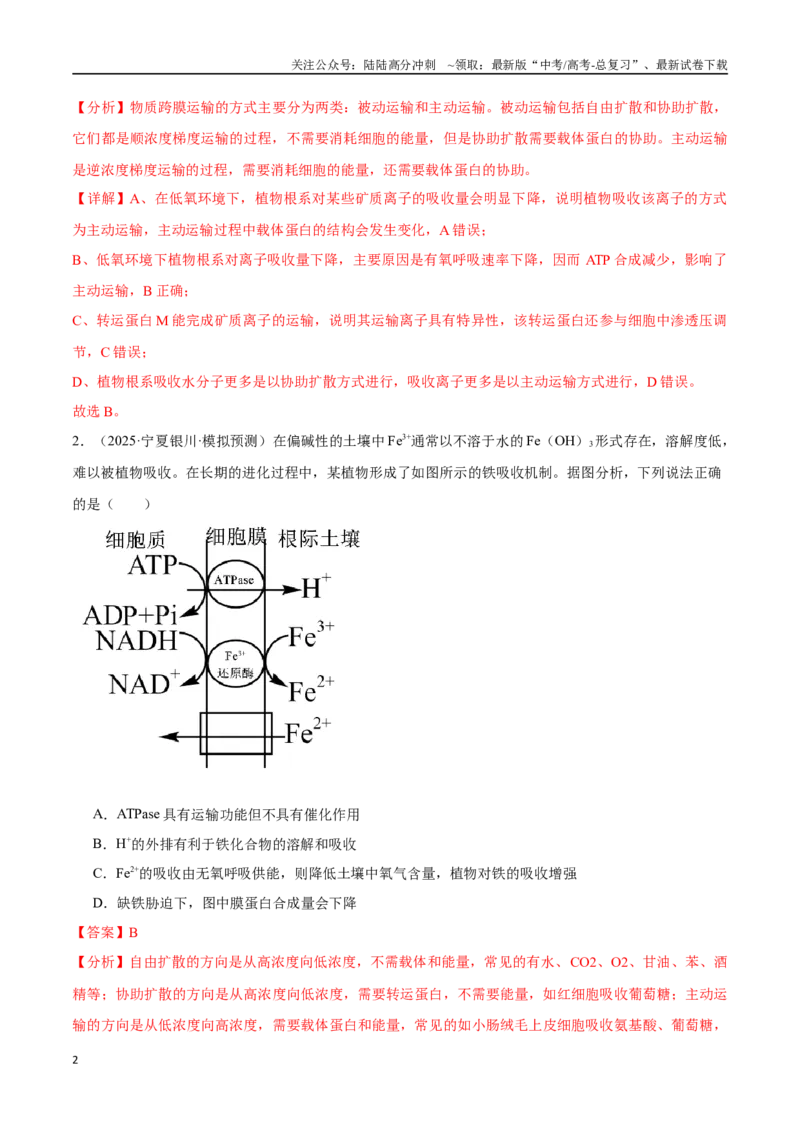 《猜押02细胞能量的供应和利用（教师版）_06-生物-高考总复习_专项复习_2025年_2025年高考生物抢押秘籍（陕西、山西、宁夏、青海专用）》第2页预览