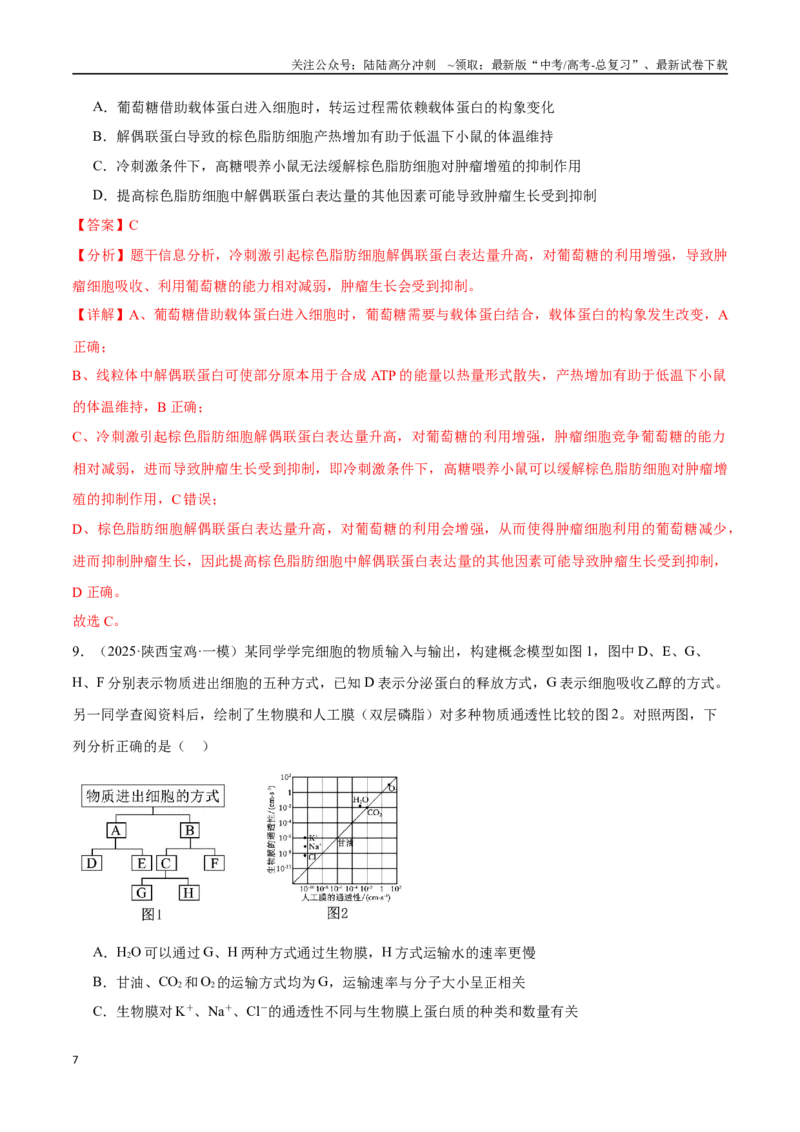 《猜押02细胞能量的供应和利用（教师版）_06-生物-高考总复习_专项复习_2025年_2025年高考生物抢押秘籍（陕西、山西、宁夏、青海专用）》第7页预览