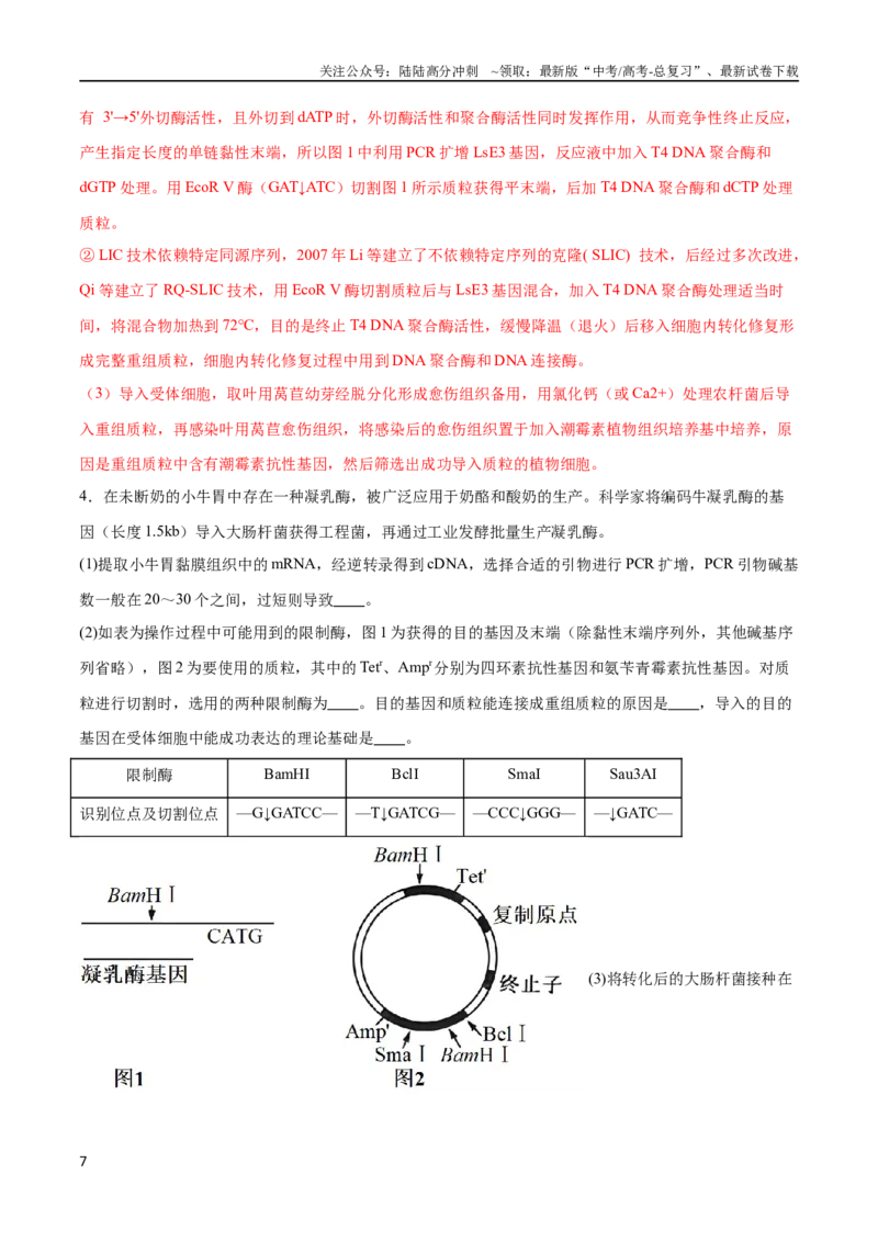 《专题06基因工程类（大题30道）（解析版）_06-生物-高考总复习_二轮复习_2024年_2024年高考生物二轮复习选择题大题压轴专项训练_资料》第7页预览