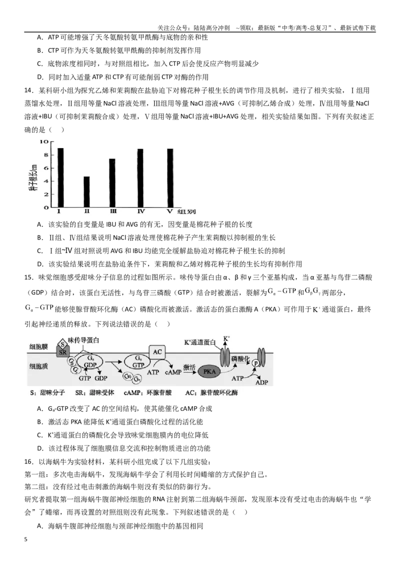 《热点专题07实验与探究（原卷版）_06-生物-高考总复习_专项复习_2024年_2024年高考生物消灭易错和热点专题必刷练_资料》第5页预览