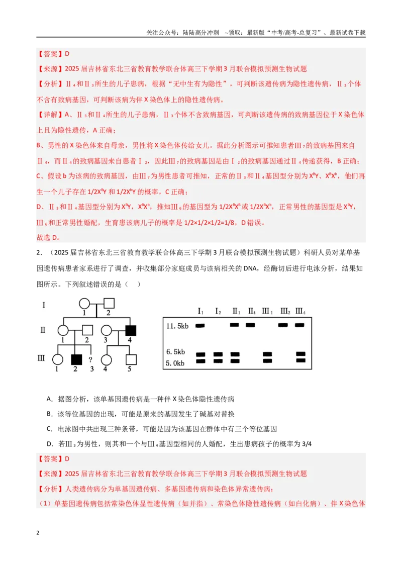 《猜押03遗传规律（教师版）_06-生物-高考总复习_专项复习_2025年_2025年高考生物抢押秘籍（黑吉辽蒙专用）》第2页预览