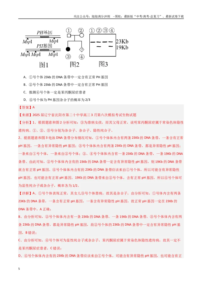 《猜押03遗传规律（教师版）_06-生物-高考总复习_专项复习_2025年_2025年高考生物抢押秘籍（黑吉辽蒙专用）》第5页预览