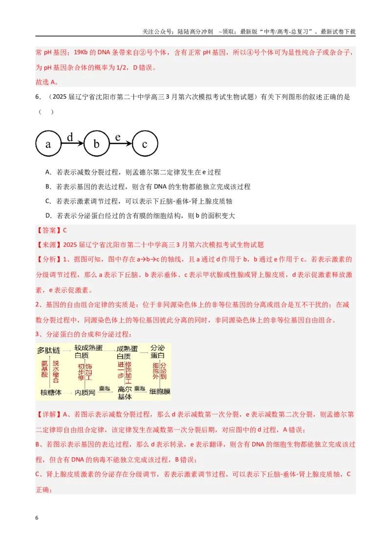《猜押03遗传规律（教师版）_06-生物-高考总复习_专项复习_2025年_2025年高考生物抢押秘籍（黑吉辽蒙专用）》第6页预览