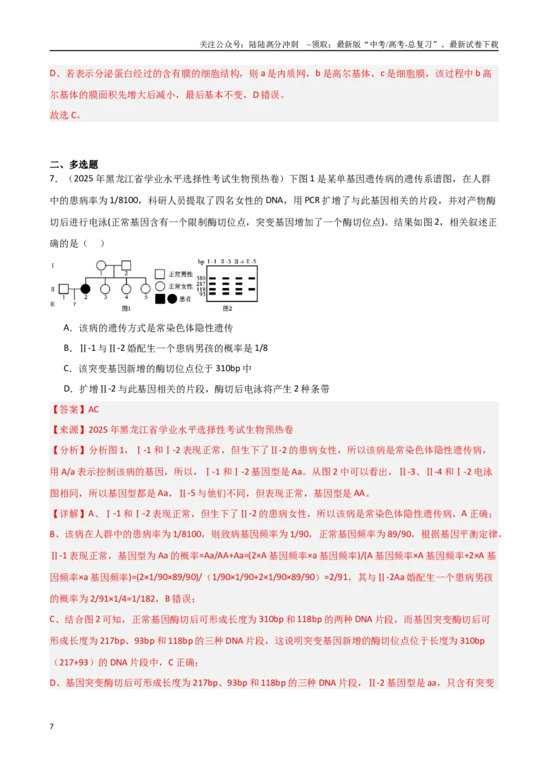 《猜押03遗传规律（教师版）_06-生物-高考总复习_专项复习_2025年_2025年高考生物抢押秘籍（黑吉辽蒙专用）》第7页预览
