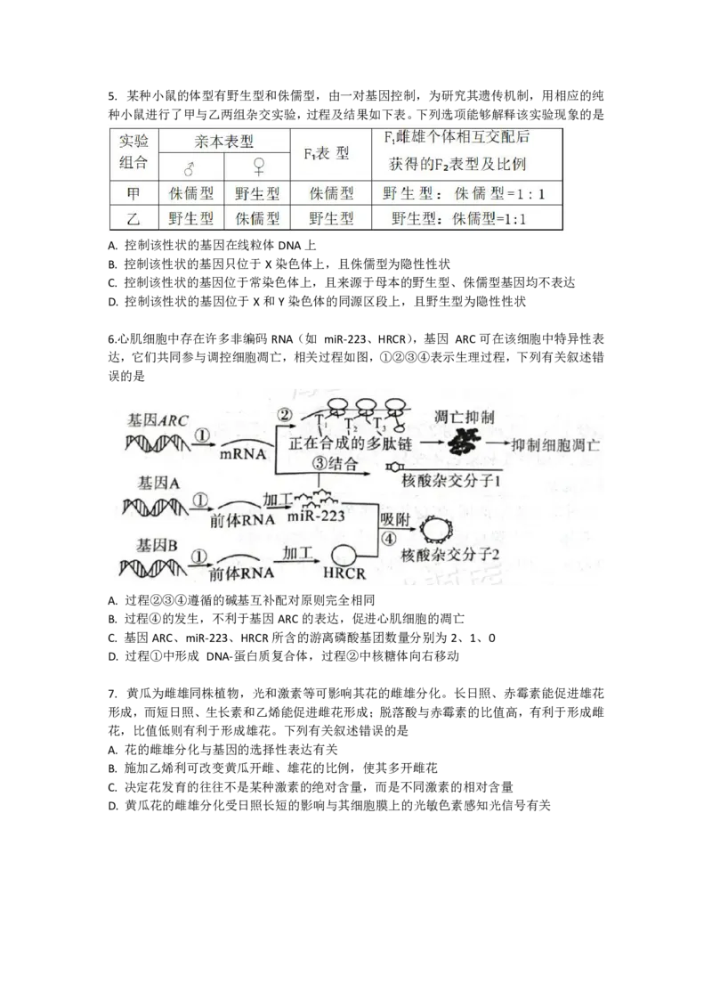 《2024全国T8联考-生物(1)_2024届八省联考》第2页预览