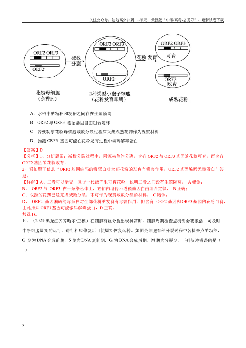《专题06细胞增殖（解析版）_06-生物-高考总复习_专项复习_2025年_2024年高考三模试题分类汇编生物2新高考通用》第7页预览