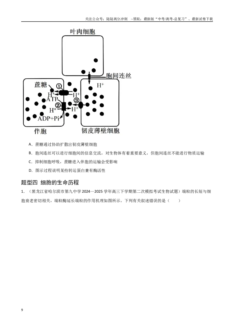 《猜押07单项选择题必刷（学生版）_06-生物-高考总复习_专项复习_2025年_2025年高考生物抢押秘籍（黑吉辽蒙专用）》第9页预览