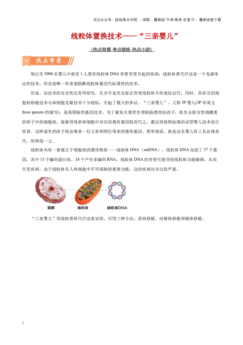 《热点02线粒体置换技术——“三亲婴儿”-（解析版）_06-生物-高考总复习_专项复习_2024年_2024年高考生物热点情境解读与知识链接8份_资料_1-资料》第1页预览