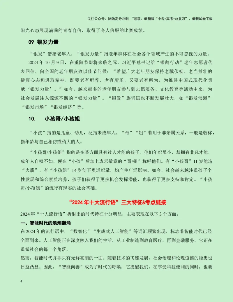 《热点素材37“2024年十大流行语”发布--（全国通用）_专项复习_2025年_2025年高考语文作文高分素材运用与优秀范文（全国通用）_资料》第4页预览