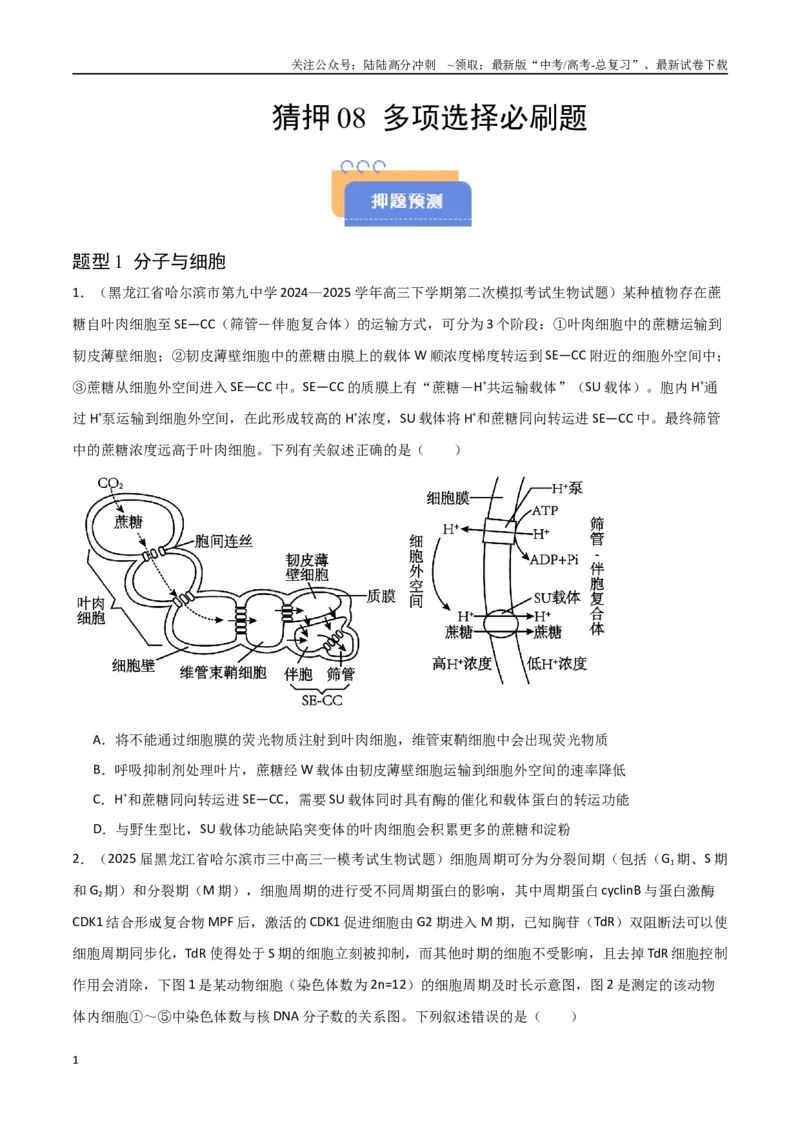 《猜押08多项选择题必刷（学生版）_06-生物-高考总复习_专项复习_2025年_2025年高考生物抢押秘籍（黑吉辽蒙专用）》第1页预览