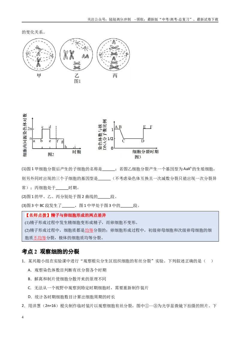 《猜押02细胞增殖、分化、衰老和死亡（学生版）_06-生物-高考总复习_专项复习_2025年_2025年高考生物抢分秘籍（新高考专用）_2025版》第4页预览