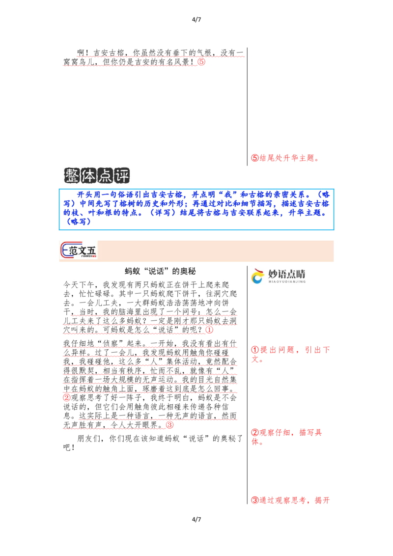 《三上语文第五单元习作《我们眼中的缤纷世界》（范文点评）_26秋小学初中各机构教辅大合集（一本、教材帮、阳光同学、王朝霞、实验班、小典中点、上分卷、白欧、课堂笔记等等）》第4页预览