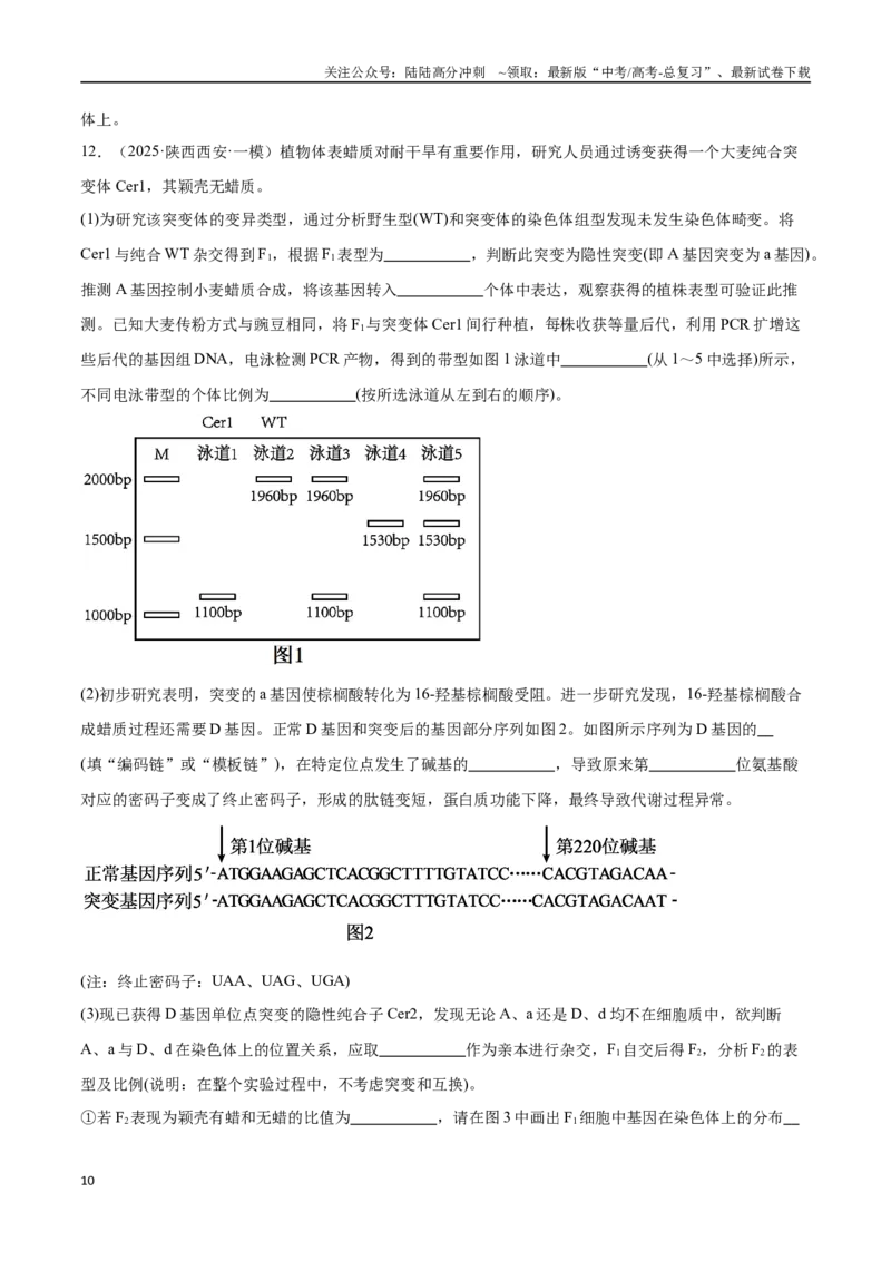 《猜押04遗传的基本规律和人类遗传病（学生版）_06-生物-高考总复习_专项复习_2025年_2025年高考生物抢押秘籍（陕西、山西、宁夏、青海专用）》第10页预览