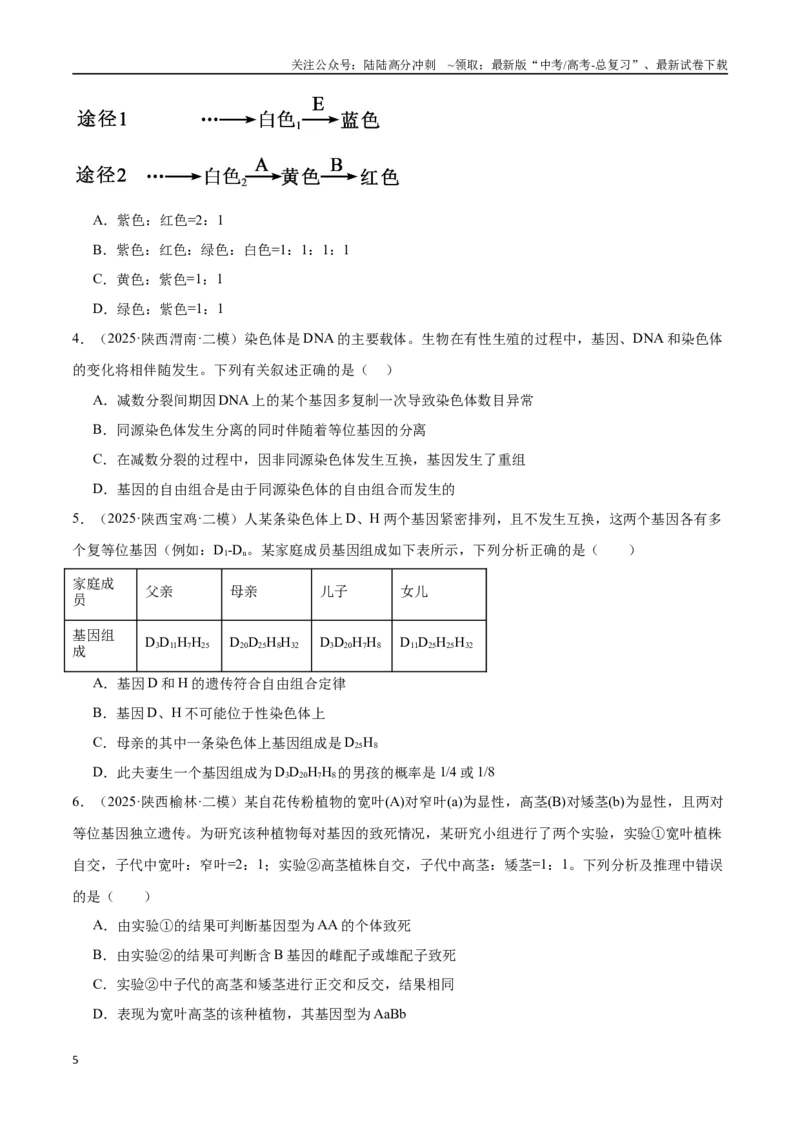 《猜押04遗传的基本规律和人类遗传病（学生版）_06-生物-高考总复习_专项复习_2025年_2025年高考生物抢押秘籍（陕西、山西、宁夏、青海专用）》第5页预览