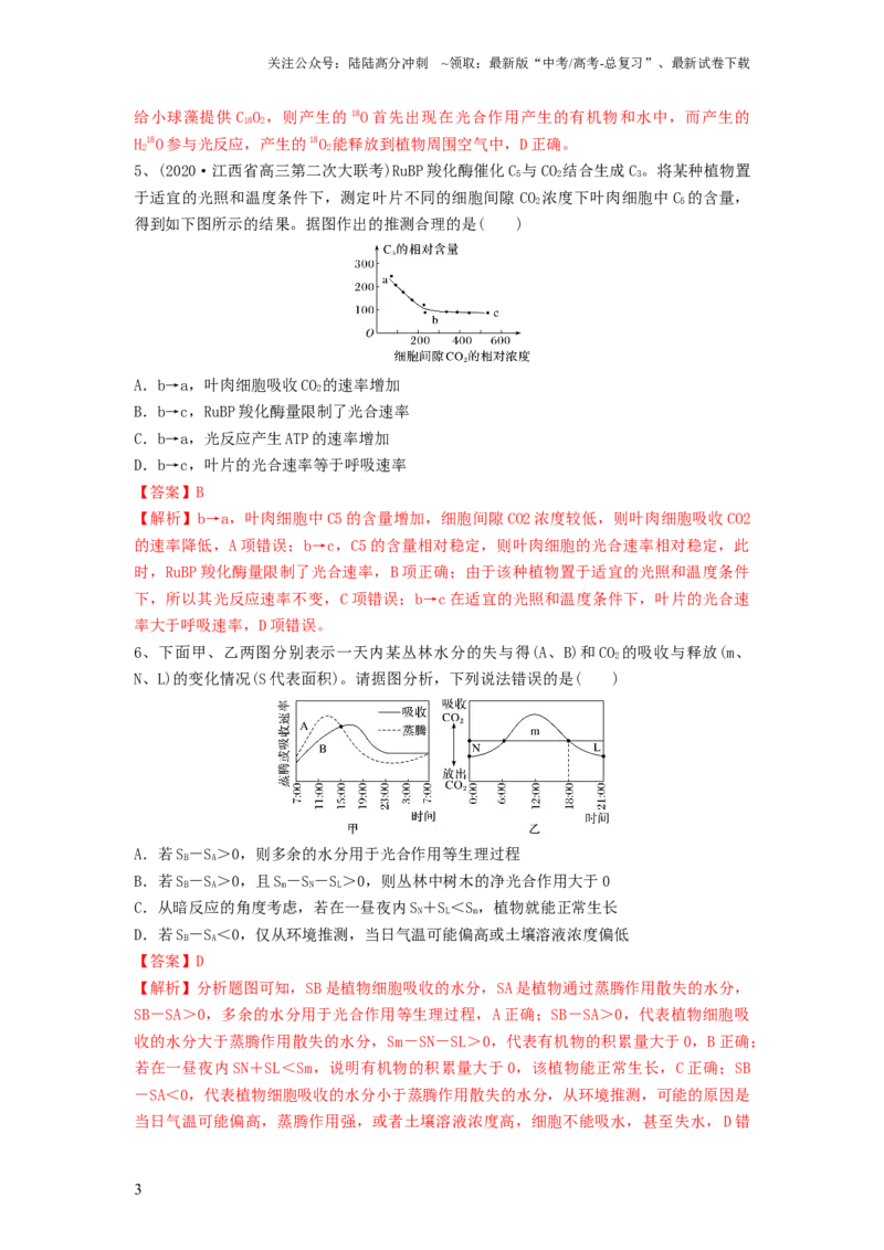 《专题10光合作用与细胞呼吸的综合应用（精练）（解析版）_06-生物-高考总复习_一轮复习_2024年_2024年高考生物一轮复习串讲精练知识点梳理练习题_精练》第3页预览
