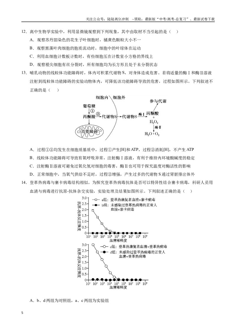 《生物（广东卷01）（考试版）_06-生物-高考总复习_一轮复习_2025年_2025年高考生物第一次模拟卷24套》第5页预览