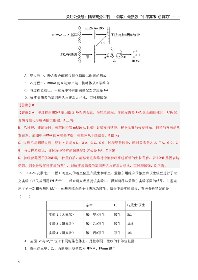 《猜押08单项选择必刷60题（教师版）_06-生物-高考总复习_专项复习_2026年-生物高考专项复习_2026年高考生物终极冲刺讲练测（黑吉辽蒙专用）-G466_2026版》第9页预览