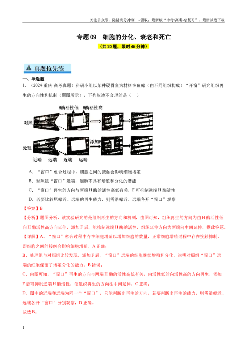 《专题09细胞的分化、衰老和死亡（教师版）_06-生物-高考总复习_一轮复习_2025年_2025年高考生物一轮复习考点精讲精练（新高考通用）》第1页预览