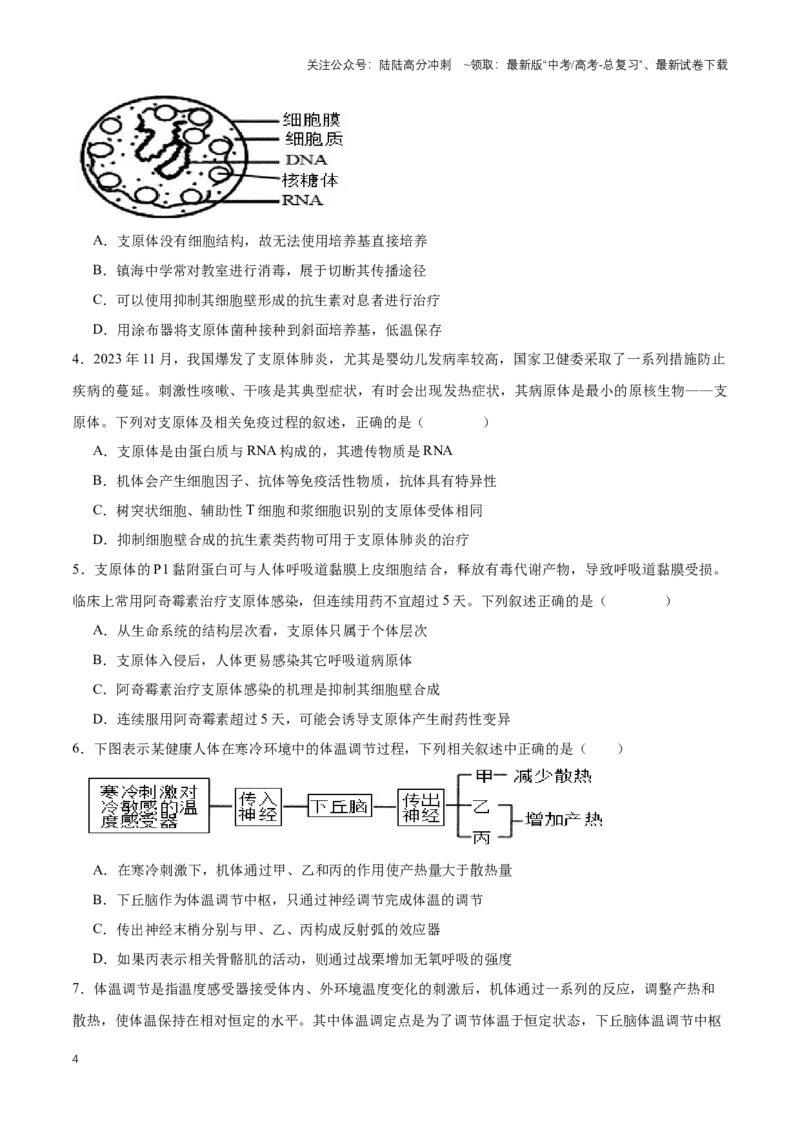 《热点06支原体肺炎感染-（原卷版）_06-生物-高考总复习_专项复习_2024年_2024年高考生物热点情境解读与知识链接8份_资料_1-资料》第4页预览