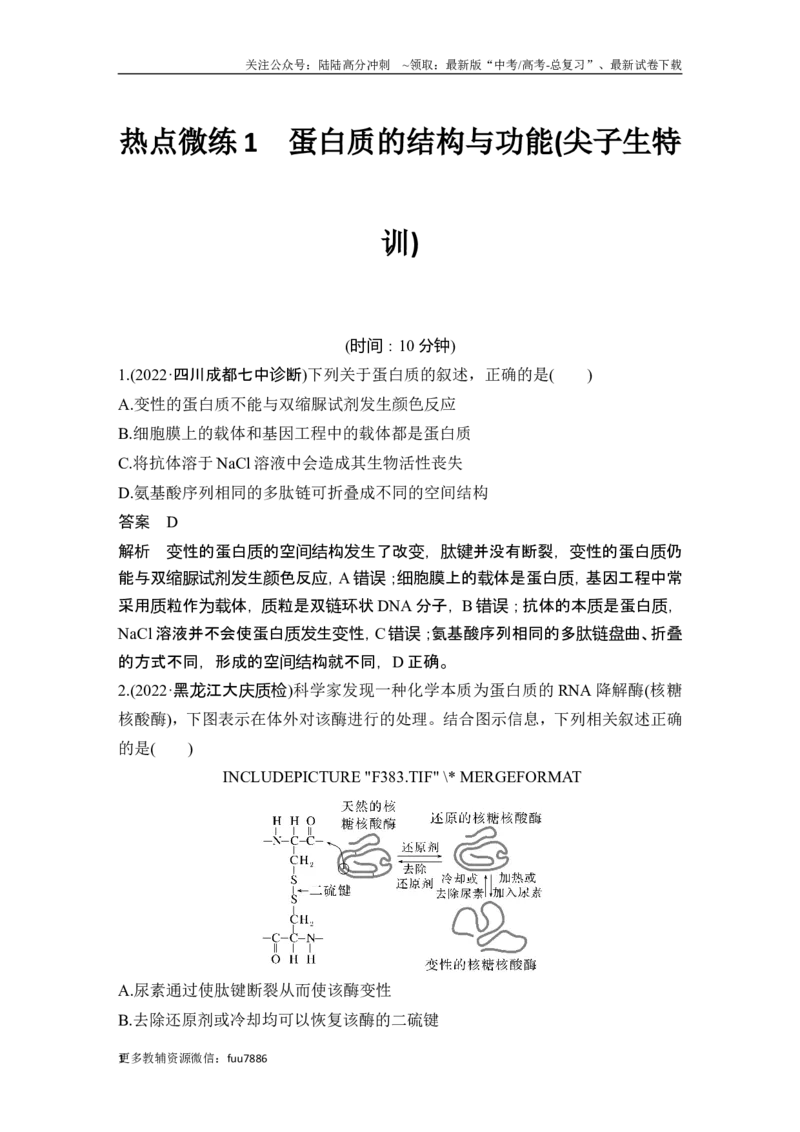 《热点微练1蛋白质的结构与功能(尖子生特训)_06-生物-高考总复习_一轮复习_2024年_2024高考生物大一轮复习课件讲义新人教版知识总结_2024年高考生物一轮复习讲义（新人教版）_必修1》第1页预览