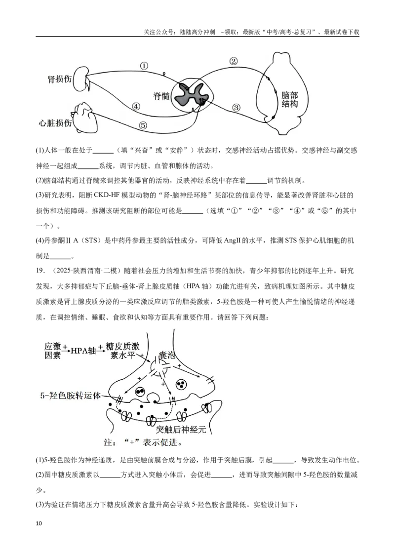 《猜押06人体生命活动的调节（学生版）_06-生物-高考总复习_专项复习_2025年_2025年高考生物抢押秘籍（陕西、山西、宁夏、青海专用）》第10页预览