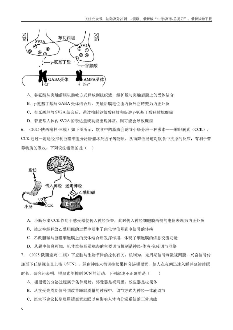 《猜押06人体生命活动的调节（学生版）_06-生物-高考总复习_专项复习_2025年_2025年高考生物抢押秘籍（陕西、山西、宁夏、青海专用）》第5页预览