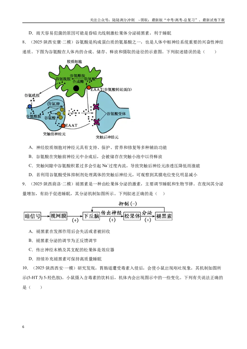 《猜押06人体生命活动的调节（学生版）_06-生物-高考总复习_专项复习_2025年_2025年高考生物抢押秘籍（陕西、山西、宁夏、青海专用）》第6页预览