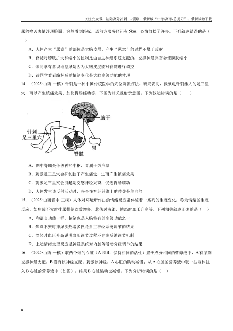 《猜押06人体生命活动的调节（学生版）_06-生物-高考总复习_专项复习_2025年_2025年高考生物抢押秘籍（陕西、山西、宁夏、青海专用）》第8页预览
