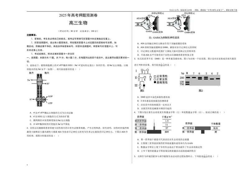 《生物（北京卷01）（考试版A3）_06-生物-高考总复习_专项复习_2025年_2025年高考押题预测卷（多地区）生物》第1页预览