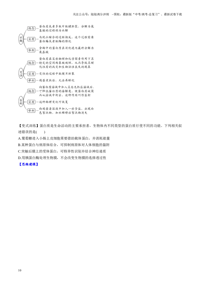 《第04讲蛋白质和核酸（讲义）（学生版）_06-生物-高考总复习_一轮复习_2025年_2025年高考生物一轮复习讲义+练习+课件（新教材新高考）_第一单元细胞的概述及其分子组成》第10页预览