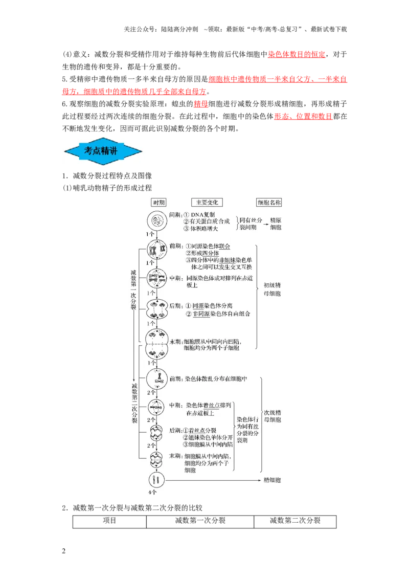 《专题12减数分裂和受精作用（串讲）（解析版）_06-生物-高考总复习_一轮复习_2024年_2024年高考生物一轮复习串讲精练知识点梳理练习题_串讲》第2页预览