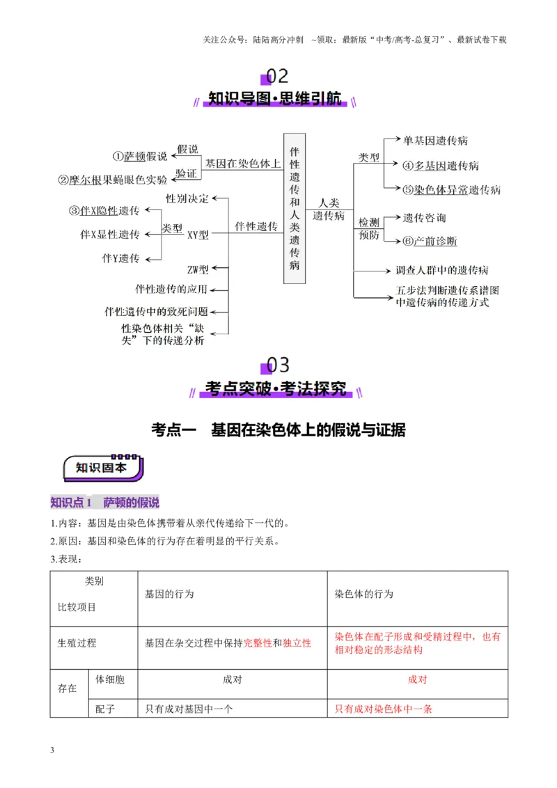 《第17讲伴性遗传和人类遗传病（讲义）（学生版）_06-生物-高考总复习_一轮复习_2025年_2025年高考生物一轮复习讲义+练习+课件（新教材新高考）_第五单元基因的传递规律》第3页预览